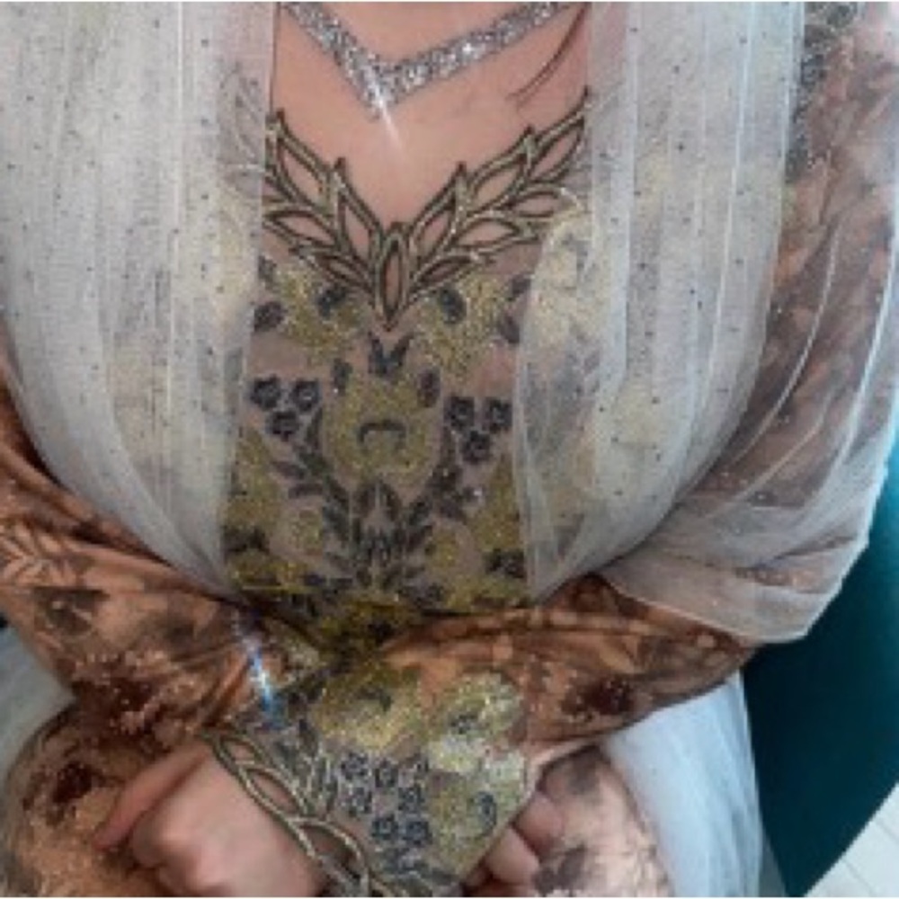 Elegant brown Embroidered Dress